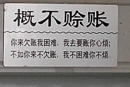 东乡如何避免债务纠纷？专业追讨公司教您应对之策